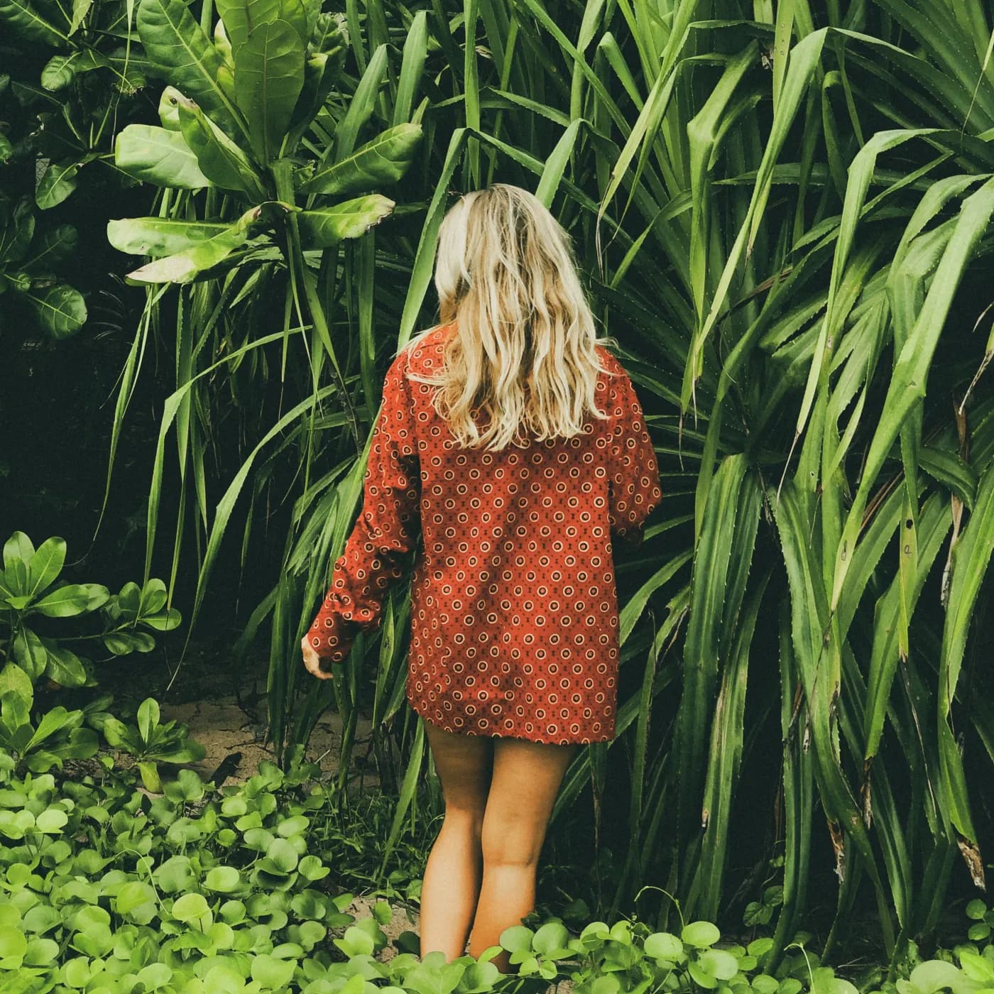Person seen from behind wearing a red patterned shirt, surrounded by large green leaves